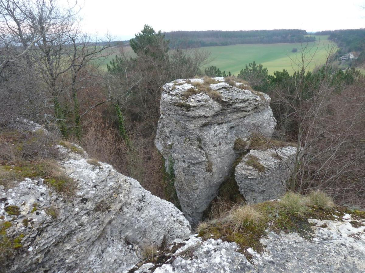 Le Flav - Charmant Appartement A 10 Mn De Dijon Flavignerot エクステリア 写真